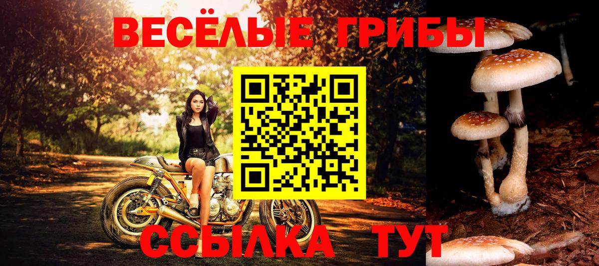 Галлюциногенные грибы MAGIC MUSHROOMS Новосибирск
